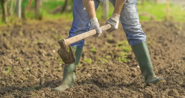 一次补缴9万养老金月领1千，回本速度太快？多地紧急关闭补缴大门