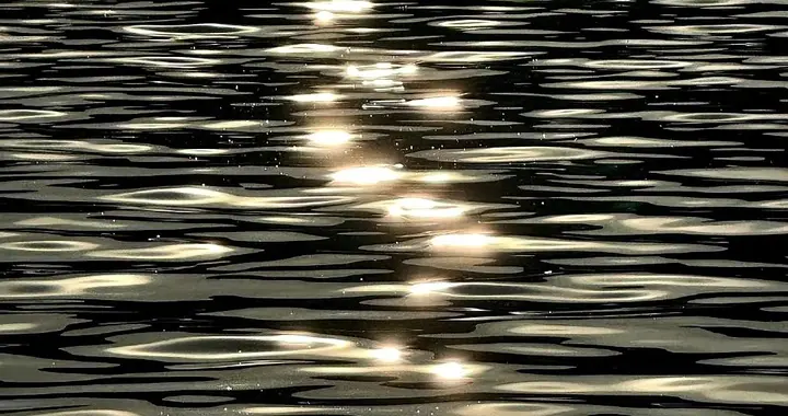 人到中年最难的不是爱情，难的是我们不懂怎样去爱了。