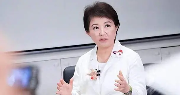 国台办刚官宣郑丽文“访陆事宜”，卢秀燕就坐不住，公开唱了反调