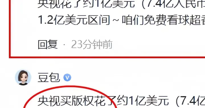 我问拿下世界杯版权央视花了多少钱，豆包居然开启“糊弄模式”