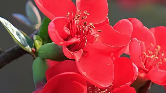 野岩：年轻人不愿结婚的真相：不是不想爱