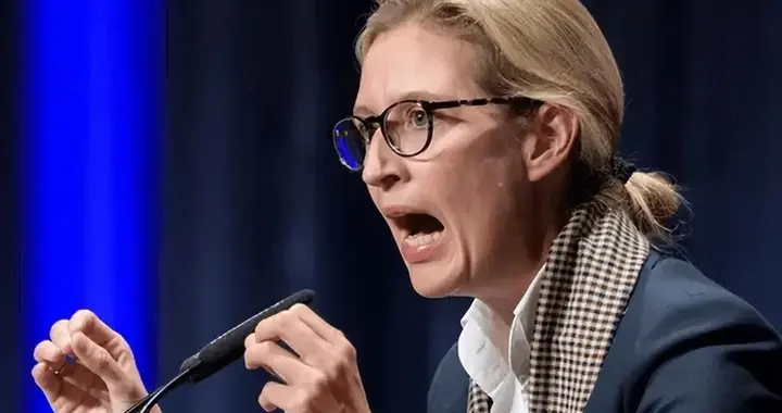 为了上台执政，魏德尔终究活成了“世俗政治家”的样子