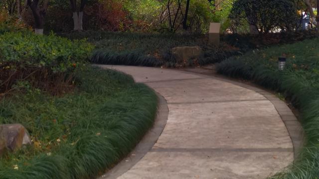 蒋华勤：【热评】打击“饭圈”违法须治罪