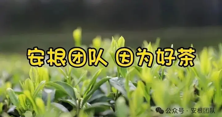 悲观者正确，乐观者生存