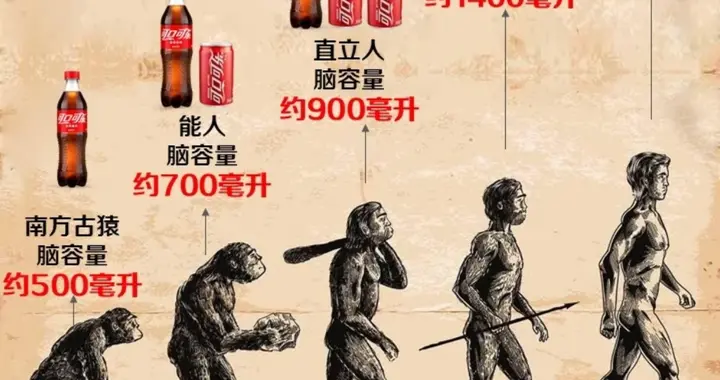 177万年？中国考古再破世界纪录：湖北郧县发现东亚最早直立人