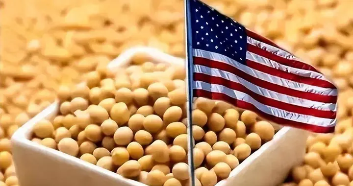 在美方多次恳求下，中方终于同意购买美国大豆，但别高兴的太早