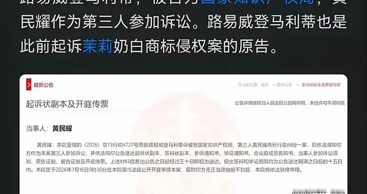 荒谬一幕！LV把国家知识产权局告上法庭，但这次不会让他如意了