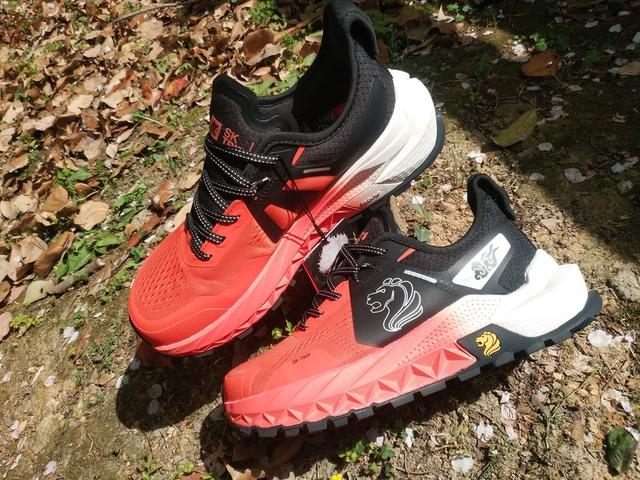 性能与性价比的完美结合：SKTRIP 狮牌宽头鞋