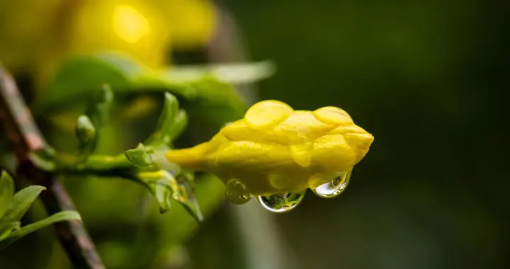 养老的尽头，是认清亲情的现实：它并非无私，也需经营与边界