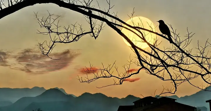 3类最适合普通人报考的世界第一专业，高就业、高薪资、前途好！