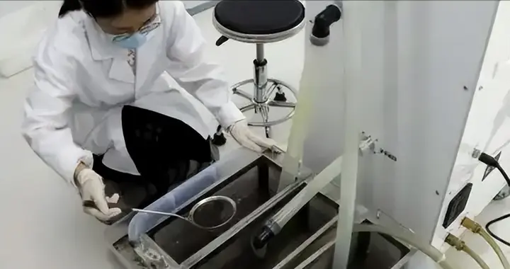 全球最大蚊子工厂落户广州，以蚊治蚊控制率超 90%
