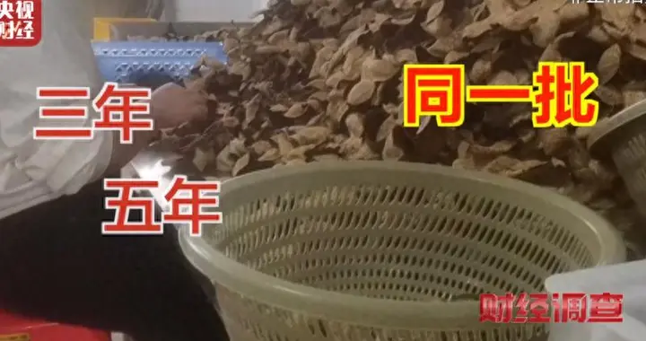 70元成本卖千元！新会陈皮“工艺皮”造假，地理标志成摆设？