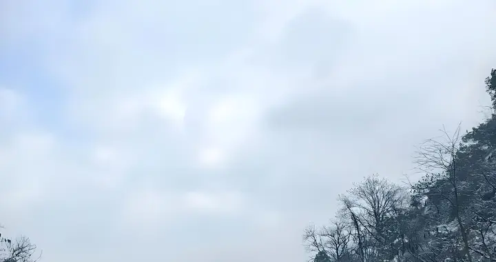 冬季跑高速啥速度最省油？答案刷新认知，很多老司机都做错了