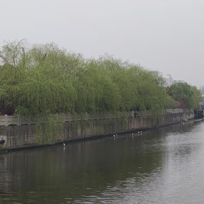 吉利因素：8+16轻断食第四天记录 晨跑