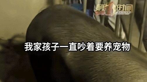 南风：贵州一个当妈的，真把我看服了。 女