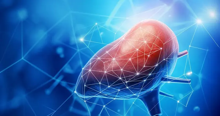 有乙肝/肝硬化的人，到底该多久查一次？2025指南给出的四级答案