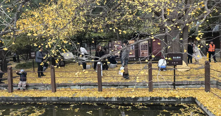 突发：8.85万人踩雷，八一钢铁及控股股东双双被立案