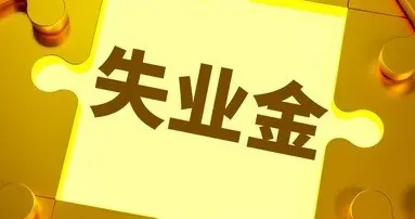 失业金: 申领全流程操作手册（全国通用）