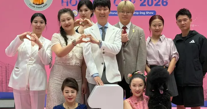 霍思燕真的厉害，不到半年又带着第二只狗狗参加比赛并获得冠军