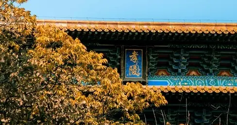 明朝有148个朝贡国？看似万国来朝，实则被组团薅羊毛
