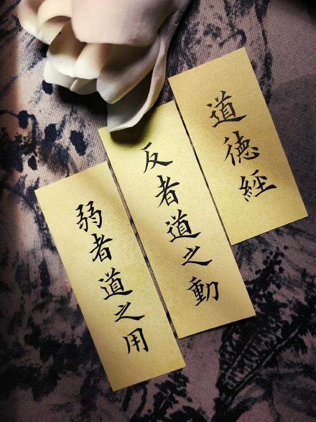 【基本概念10】反者道之动，弱者道之用