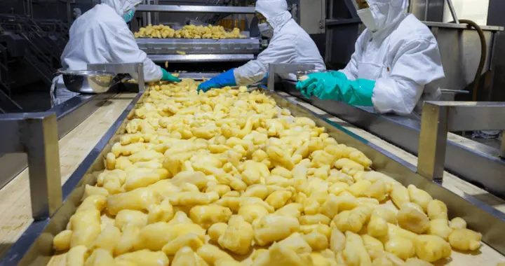 日本寿司离不开它！全球70%的姜片，竟来自山东一个小城