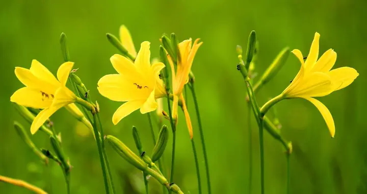 一个女人心里没有你，不爱了，往往会有的表现：两个字