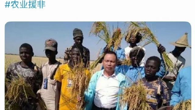 历史真相挖掘师：我国专家真是替黑人朋友操