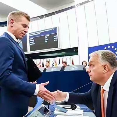 大白眸眸：16年，欧尔班终于输了。  匈