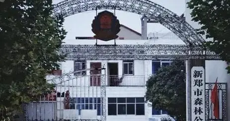 基层森林公安转隶后面临哪些挑战？