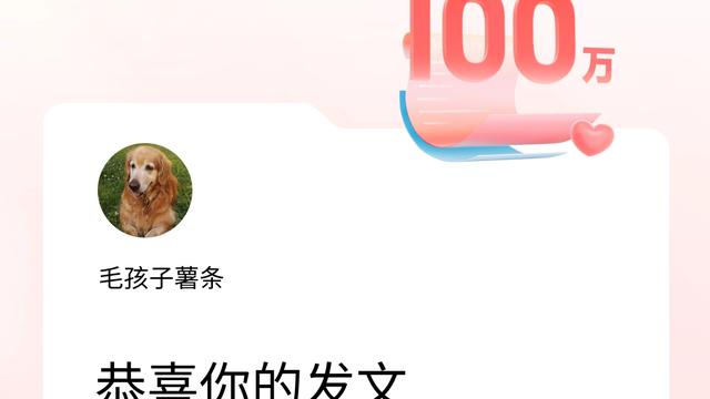 毛孩子薯条：我在头