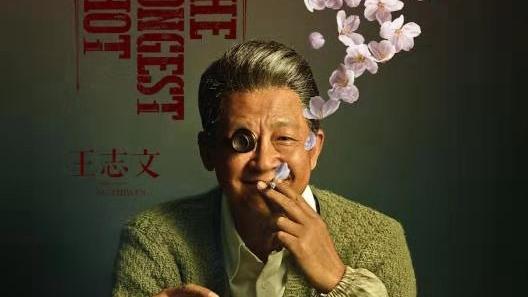 窈窈爸爸：王志文有段台词，点醒了无数男人