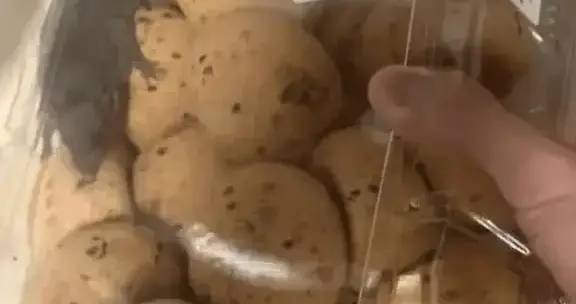 山姆麻薯盒现活鼠:会员费背后的食品安全,不能靠外部侵入自圆其说