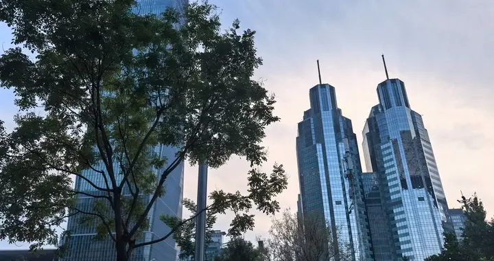 创意信息虚增收入、复旦复华虚增利润被ST，这些股民可索赔