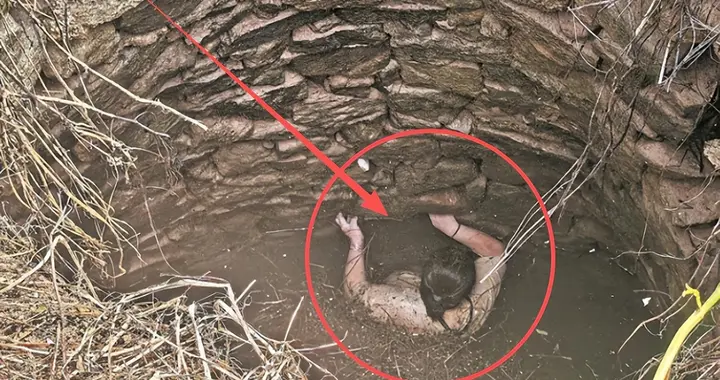 大妈坠井被困2天，浑身蛇虫多处骨折，救援者曝光真相，让人心惊