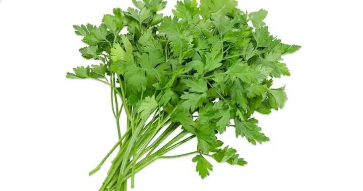 香菜立大功？医生提醒：总吃香菜的人，不出半年，或有这5改变！