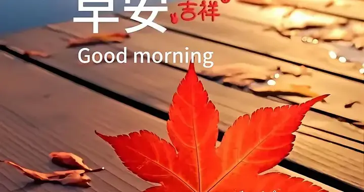 早安！人随秋美，​​​​​​​运随秋来；​​​​​​​天随秋凉，​​​...