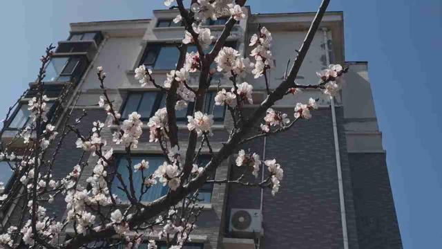 尽心就好188：从妈妈不能走路以来，我每