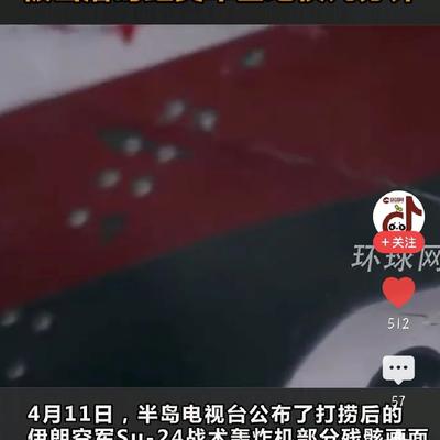 努力生活的河南姑娘：实锤！更多美军战机残