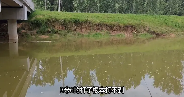 河里涨水鱼是真好钓，鲤鱼鳊鱼连杆上，过瘾