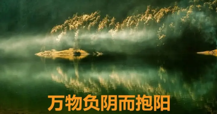 什么是负阴而抱阳？就是背负着阴，拥抱着阳吗？