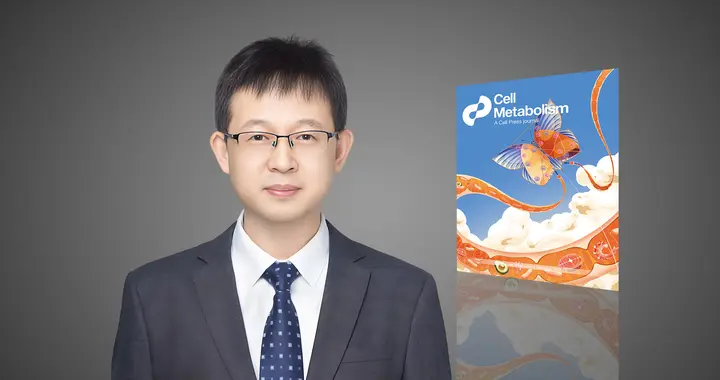 长期补充维生素C抑制铁衰老，实现灵长类系统性"减龄" | 热心肠日报