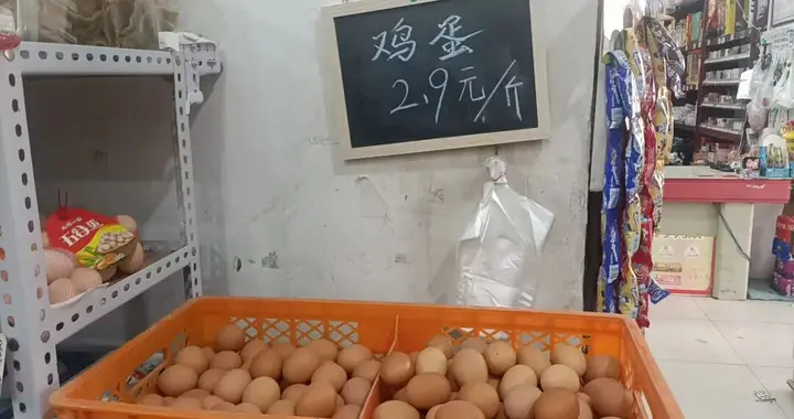 鸡蛋价：2.9元一斤的背后，谁在替我们负重前行？