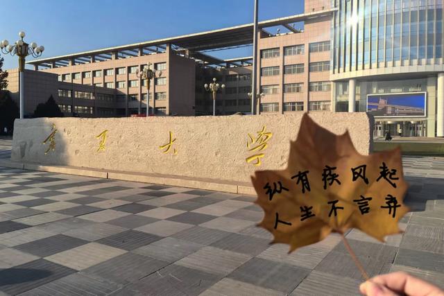 宁夏大学2024届毕业生去向分析，本科生升学率18.4%，19%进教育业