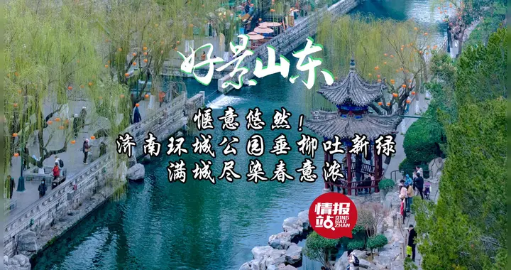 2月27日最佳情报|环城公园垂柳吐新绿，山桃花娇艳盛开！恭喜