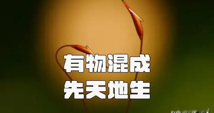 以《易》判老：熊十力对道德经的诸多评判，为何存在文本误读？