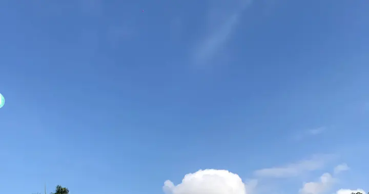 人工智能老道猫