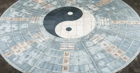 知易者不占，但岁月值得一看
