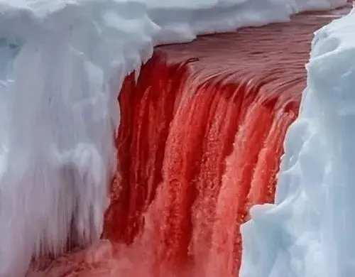 你见过血红色的瀑布吗？