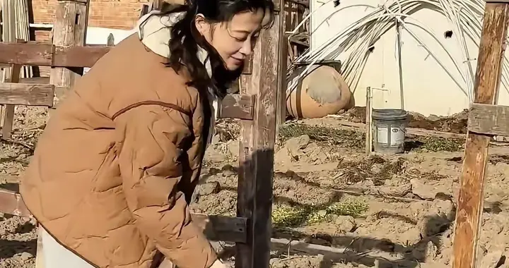 梅婷帮公公菜园子翻土，打扮朴素勤劳能干，毫无明星架子，真温馨